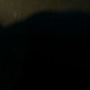 Meet your Posher, Laila